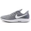Air Zoom Pegasus 35 'Cool Grey' 942851-005