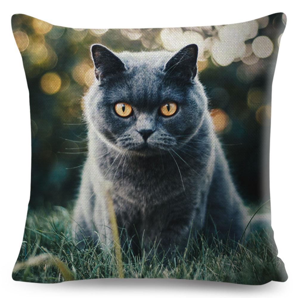 Housse de coussin British Shorthair bleu russe, taie d'oreiller en Polyester, décoration de chat mignon, Animal de compagnie, pour canapé, maison, voiture