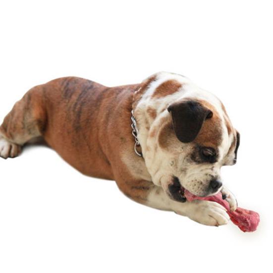 Giocattolo Osso Realistico per Cani Osso di Gomma Osso da Masticare per Cani Giocattolo per la Dentizione dei Cuccioli Giocattolo per la Pulizia dei Denti per Masticatori Aggressivi