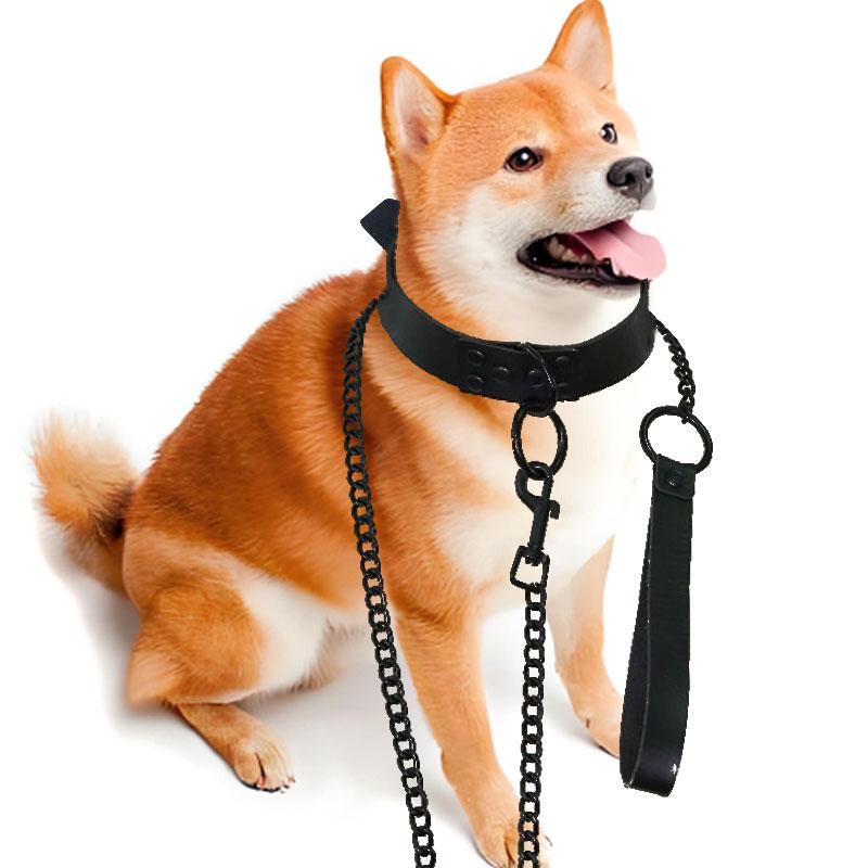 Durable Anti-Bite Metal Dog Chain Lead Chain Leash Handle Leads Leather Iron Chain for Small Large Medium Dogs Outdoor Training