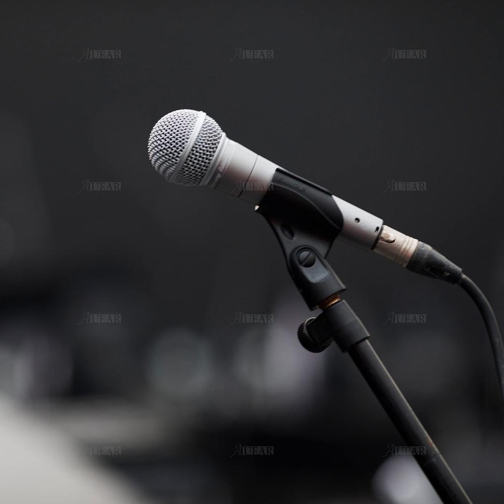 AUEAR Microphone Grill Ball Head Pack of 2 for SM58 BETA58 SM58LC SA-M30 SV100 RK143G Pgx2 Slx2