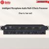 HuiDu KM-6204 Professional Automatic Digital Feedback Suppressor (CN Version)