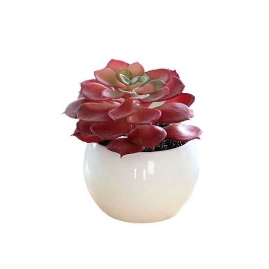 Fałszywe rośliny doniczkowe Odporne na warunki pogodowe rekwizyty fotograficzne Szerokie zastosowanie Doskonałe mini sukulenty Biurko Akcesoria domowe doniczkowe