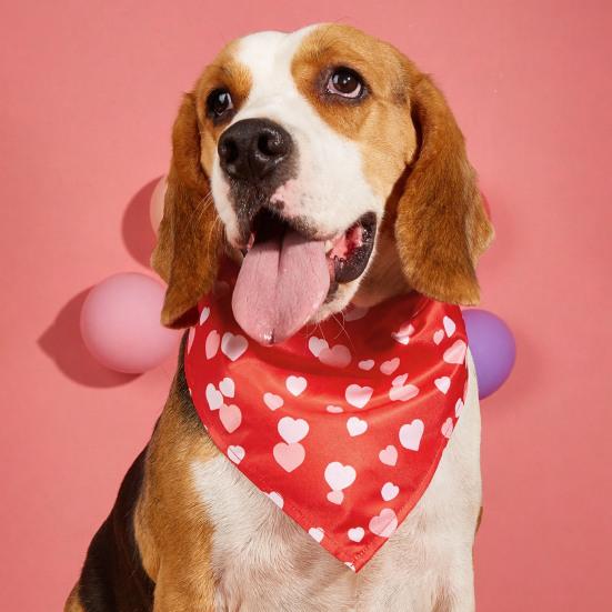 Pet Saliva Wipes Adjustable Strap Exquisite Heart Pattern Pet Cleaning Cloth Pet Valentine Day Party Birthday