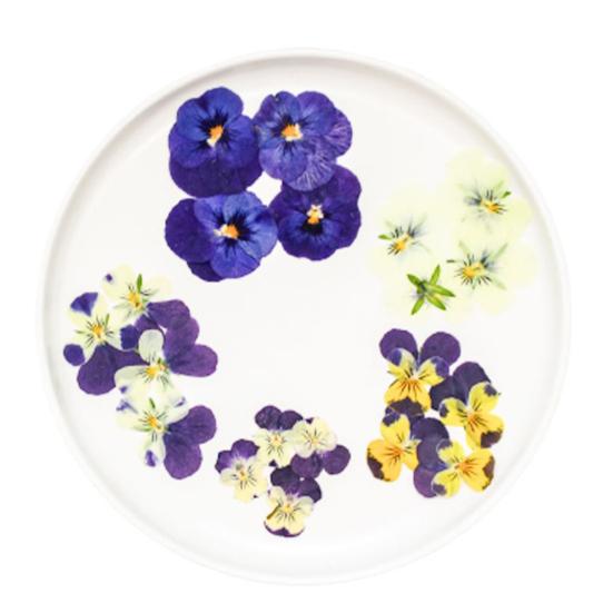 Yousheng 24 Buc. Flori Naturale Presate Uscate DIY Artă Meșteșuguri Topper Tort Decorare Cocktailuri Rășină Bijuterii Scrapbooking Semne de Carte Confecționare Colorat