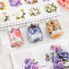 2m 1 Rolle PET Pflanze Blumen Klebeband Aufkleber Dekorative Collage Klebstoff Diy Scrapbooking Hand Made Masking Tape