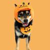 Halloween Kürbis Katze Hund Haustier Kostüm Hut Lätzchen