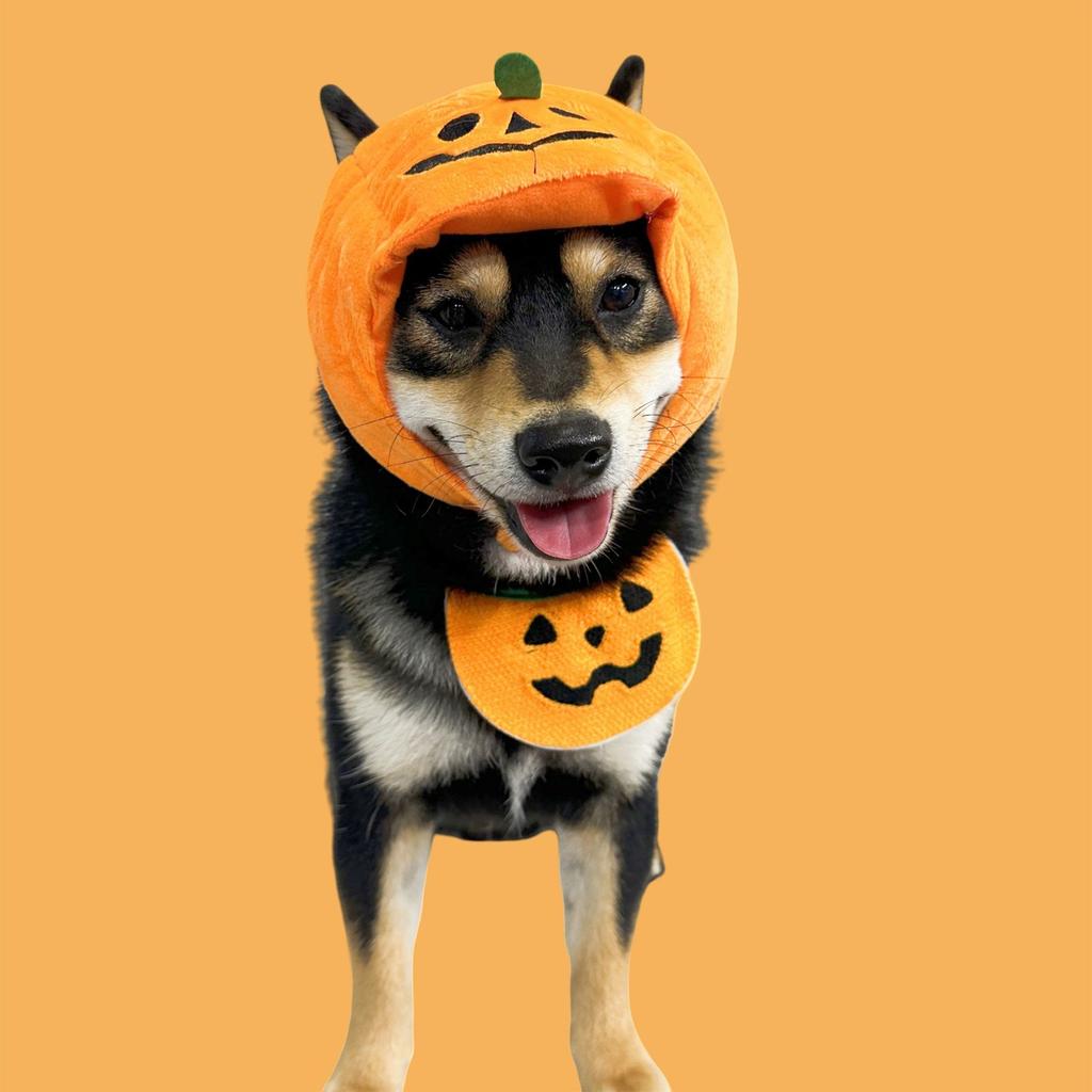 Halloween Kürbis Katze Hund Haustier Kostüm Hut Lätzchen