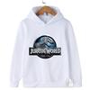 JURASSIC PARK Kids Hoodie, Dinosaur Drawn Hoodie, Casual Tops for Kids, Long Sleeve Jersey, Autumn Kids Sportswear