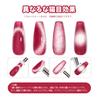 PEACECOLOR Magnetic Nail Gel Nail Set Moonlight Perfect for DIY Nail 6 Bottles Gift - Colors Silver, Brown, Red. Glittery, Magnetic, Ultra-fine