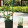 10Layers Plant Support Pile Stackable Flower Ring Support Rack  Indoor Flower Plants