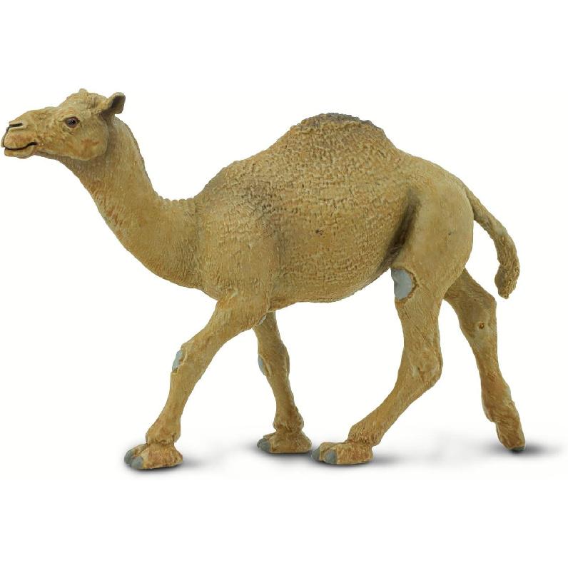 Safari Ltd. Dromedary Camel Figurine - Lifelike, Hand-Painted 5.75  Model Figure - Educational Toy for Boys, Girls & Kids Ages 3+