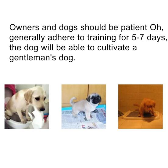 30ml Pet Dog Puppy Toilet Indoor Outdoor Urinating Pee Training Aid Spray Agent