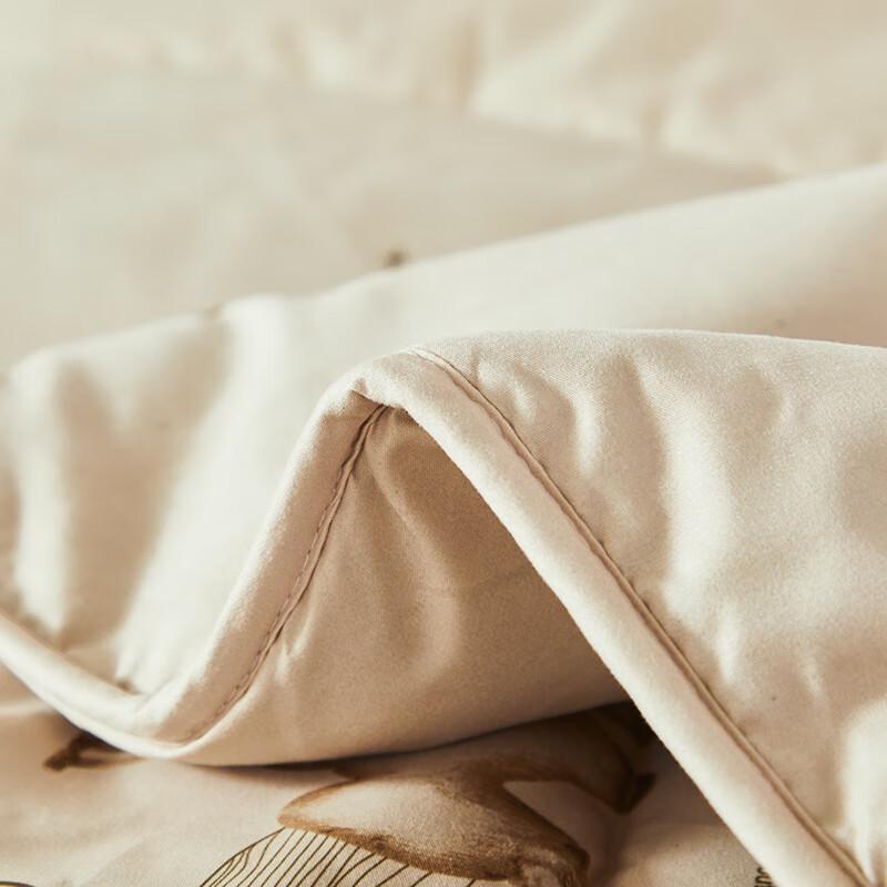 Hengyuanxiang Fiber Camel Wool Quilt