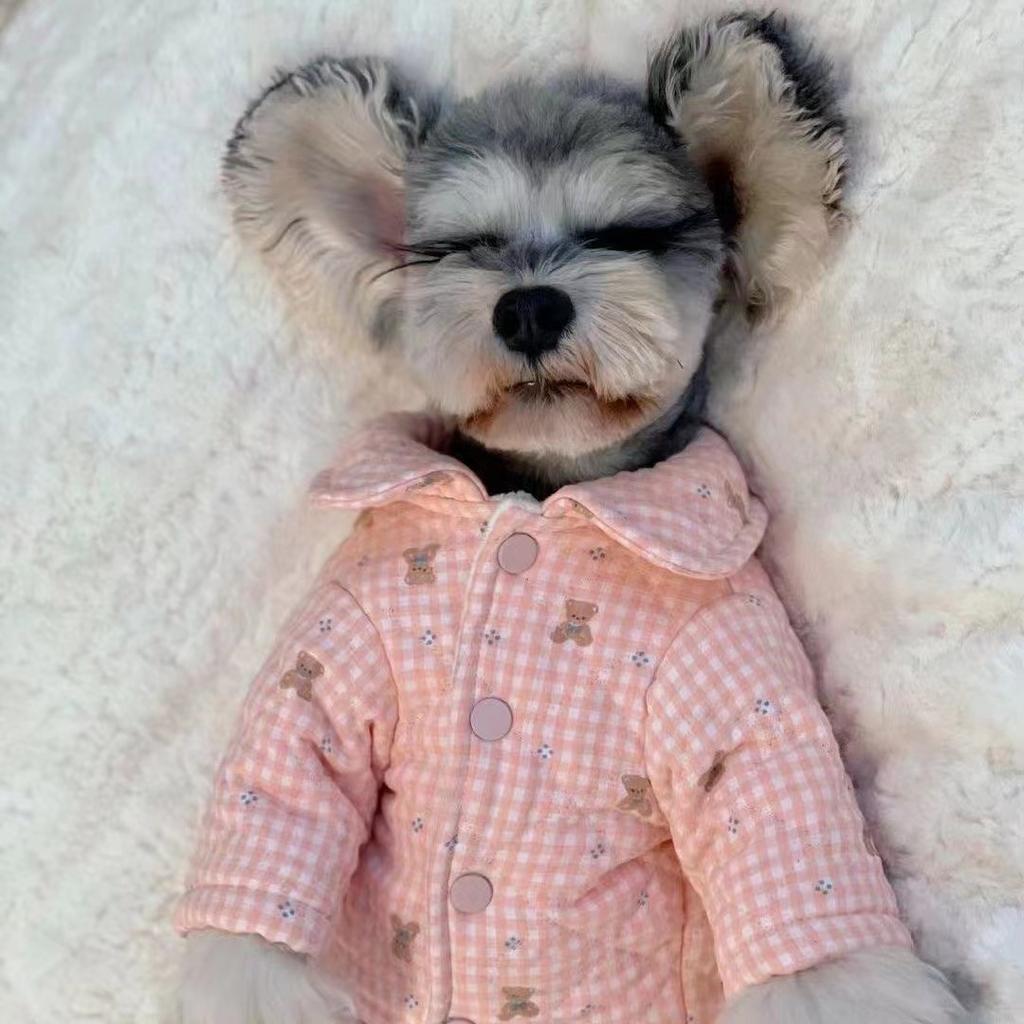 Pet Four-Legged Cotton Coat Thickened Pomeranian Poodle Small Puppy Yorkshire Schnauzer Teddy Bear Clothes