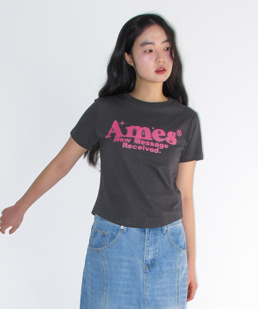 AMES-WORLDWIDE Round Hem Crop Tee Charcoal