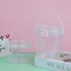500/1000Ml Transparent Plastic Bucket With Lid And Handle Food Storage Container