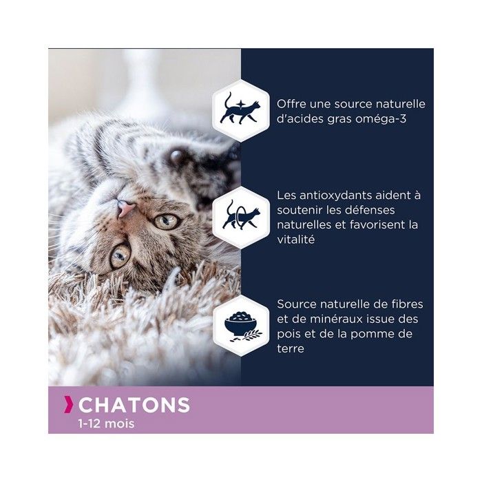 Eukanuba Croquettes Chaton - Sans céréales Saumon 2 kg