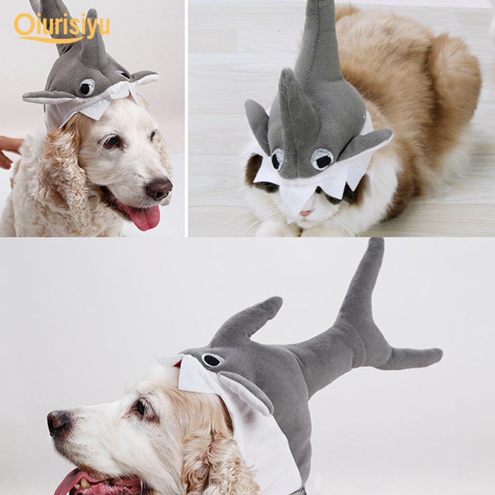 dog shark hat