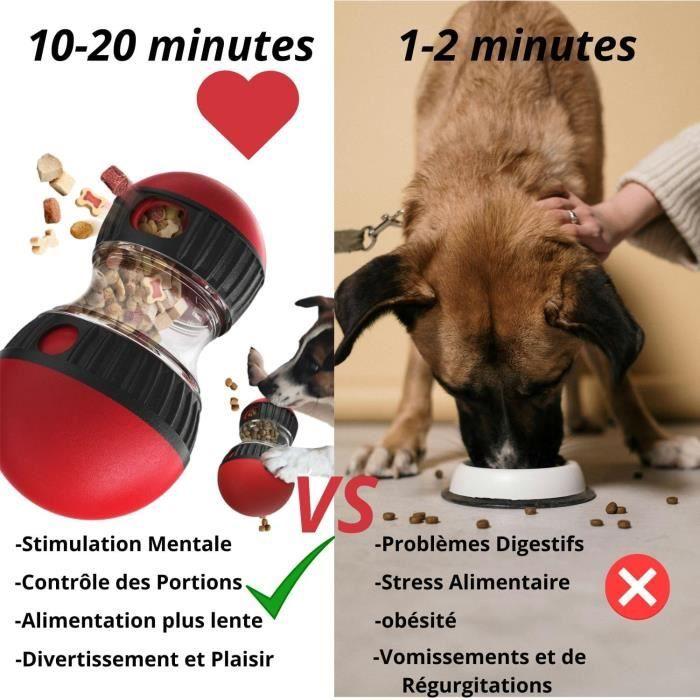 Jouet interactif pour Chien Distributeur de croquettes, Balle Interactive Chien, Jouet Intelligent, Jouet Chien Indestructible