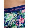 Боксеры Jack & Jones Fred