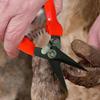 Sheep Hoof Trimmers Shrub Plant Floral Pruning Cut Shears Garden Scissor Shears Goat Hoof Trimmers Alpaca Lamb Pig Nail Clippers