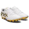 Asics Ds Light Series Round Toe Lace-Up Ag (Rubber Short Stud) Synthetic Leather Soccer Shoes Men Soccer Shoes White Platinum 1103A069-122