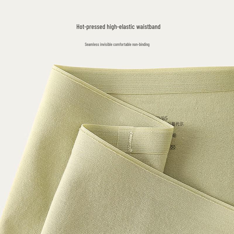 YOUNGYELL Women's Seamless Antibacterial Cotton Blend Mid-Rise Underwear (3-Pack)