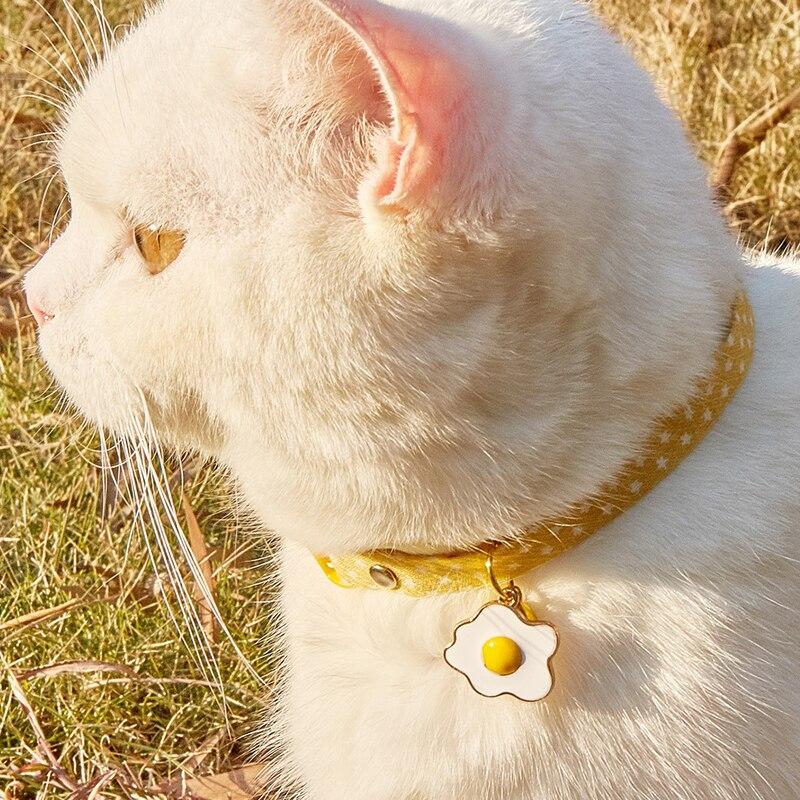 peach kitten collar