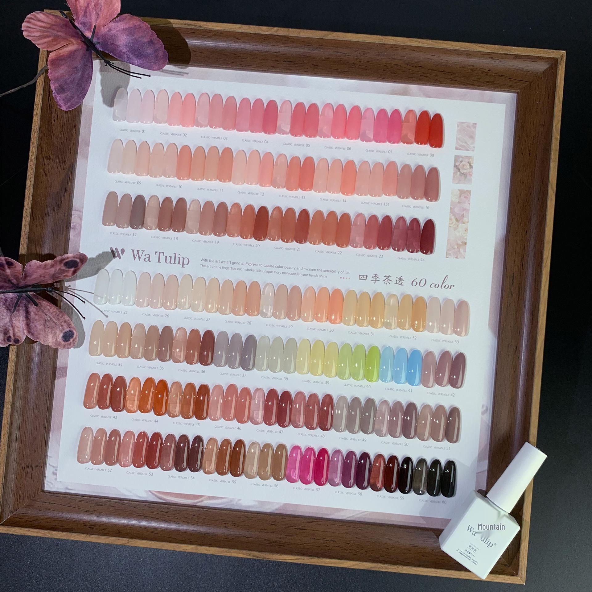 

Tulip 60-Color Translucent Nail Gel Set: Black, White, Nude, Pink, Jade for Store Opening