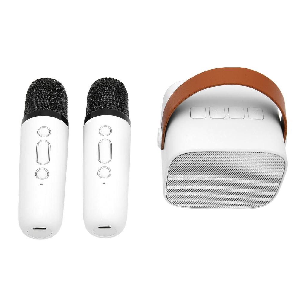 Karaoke Machine Multifunction Stereo Sound Portable   Speaker with 2 Wireless Microphones for Home Party KTV