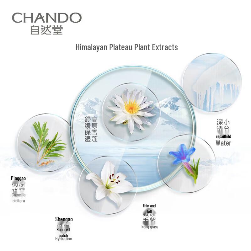 CHANDO Himalayan Purple Grass Pore Refining Mask 5-Pack