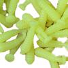 100 Pieces Fishing Lures Silicone Paddle Tail Swimbaits for Carp Walleye