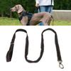 Pet Leash Fluorescent Dog Traction Rope Secure Locking Fabric Training Leash for Walking Shopping Ca
