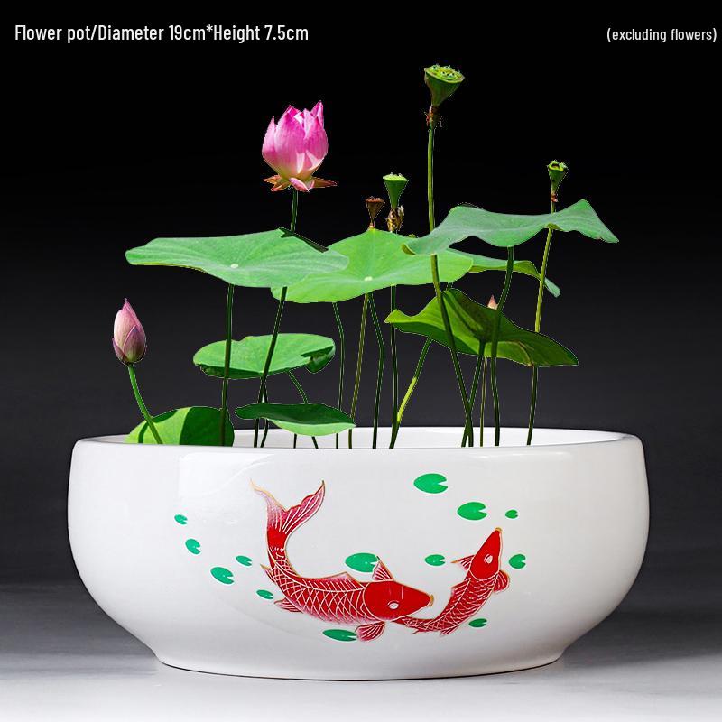Großer Keramik-Lotus Seerose Hydroponischer Blumentopf ohne Abfluss