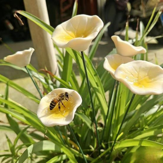 Bee Watering Station, with Realistic Flower Design, Ceramic Bee Waterer Arrangement Bee Bath Bowl, for Outdoor Patio Decor