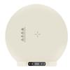 ZISIZ Electric Food Warming Plate