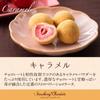 New Chocolate Luxury Strawberry Chocolata of Assortment Strawberry Chocolate Chocolate Gift New Strawberry Chocolate Strawberry Truffle Sweets