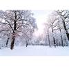 Beautiful Winter Snow Landscape Wall Mural Living Room Backdrop Wall Paper Modern Simple 3d Wallpaper Home Decor