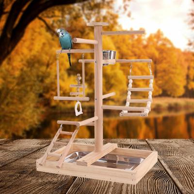 Solid Wood Parrot Stand Bird Chews Toy Supplies Wooden Play Playground Cockatiels