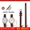 Cinturino Orologio Sottile Vera Pelle Stampa Coccodrillo Donna Morbido Pelle di Mucca Cinturino Orologio rosso bianco piccolo Cinturino da Donna 6mm 8mm 10mm 12mm 14mm 16mm