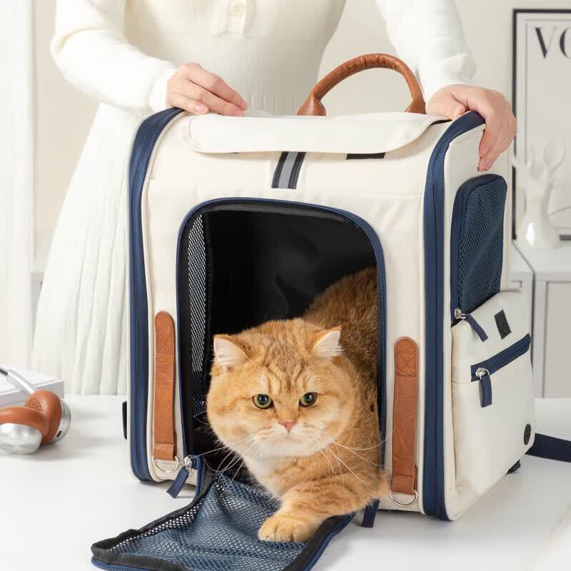 Diplomat Pet Backpack