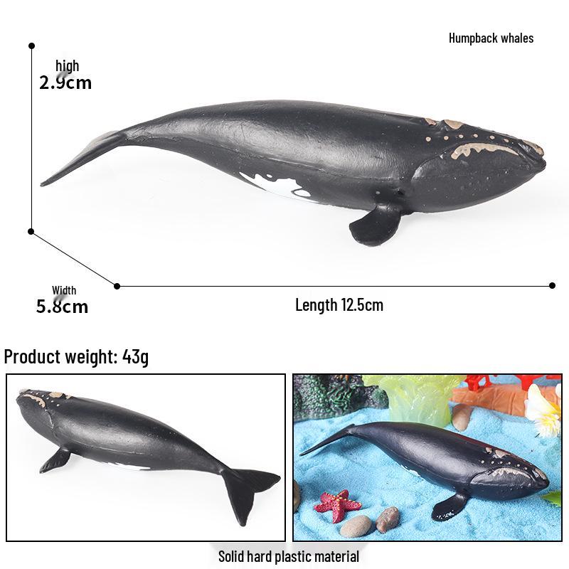 Children's Marine Animal Cognitive Model: Shark, Megalodon, Tiger Shark - Desktop Toy Ornament