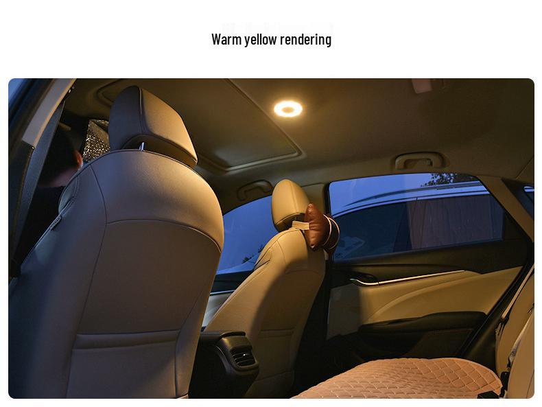 Car Interior LED Reading and Roof Light Set