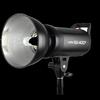 Godox SK400II Studio Flash Kit