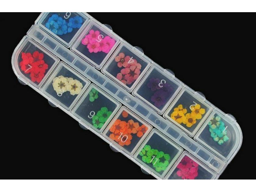 Nail Art 3D Real Dried Flowers - 12 Colors Lace Design