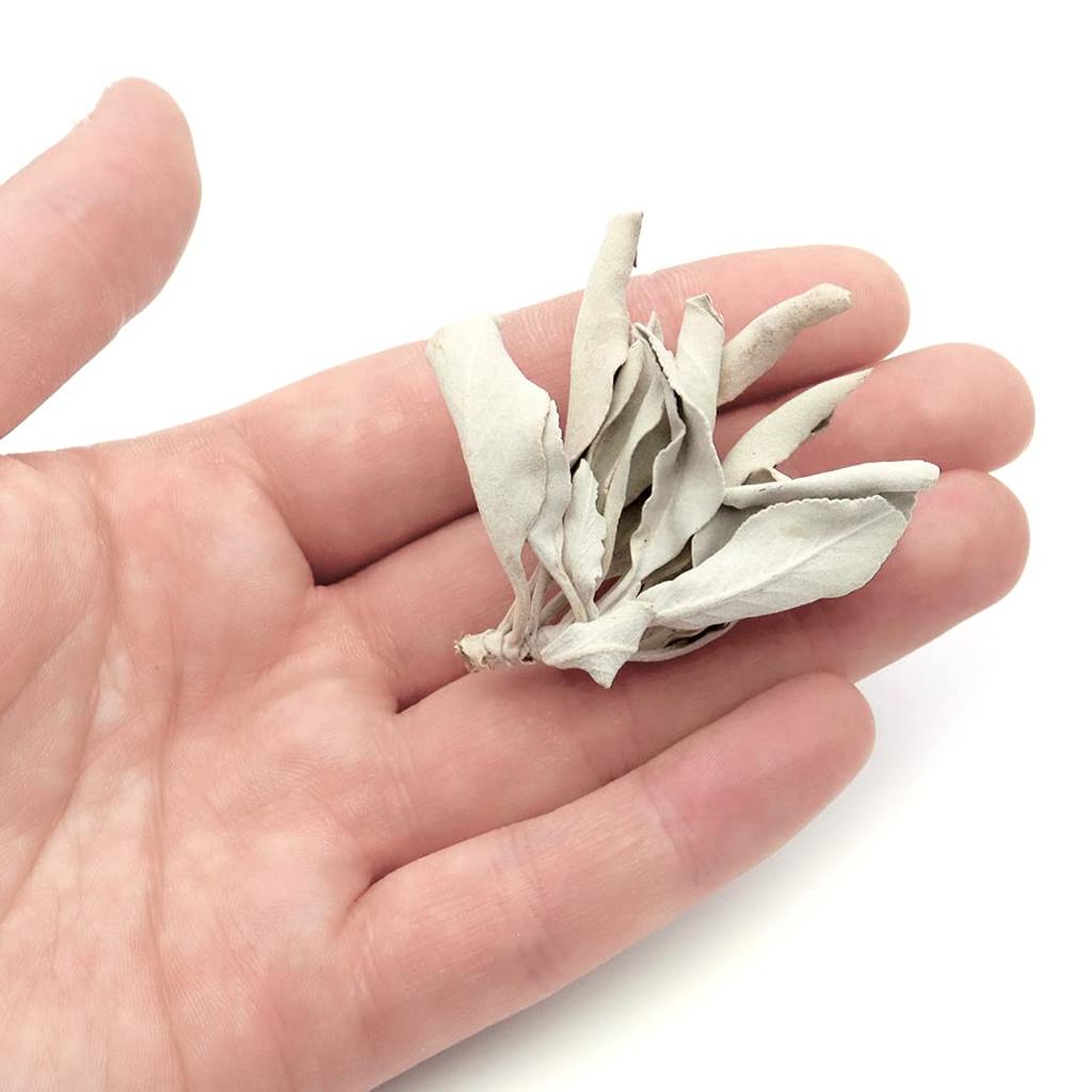 [GOLD STONE] White Sage, Pesticide-Free, California, Approx. 50g (with Stems, Small Leaves)