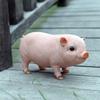 Simulation Pig Figurine Ornaments Garden Decoration Accessories Pig Resin Sculpture Model Handicraft Home Living Room Decor Gift