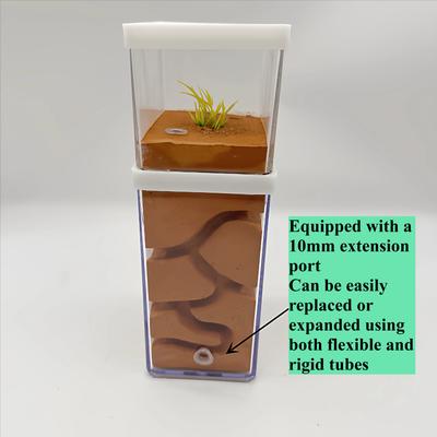 Gypsum Ant Farm High-humidity Insect Hotel Castle-style Ecological Ant Nest Pet Ant Mound Studio House Village With Feeding Area