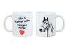 Morgan Horse – Mug with a Horse, Mug with a Photo |
